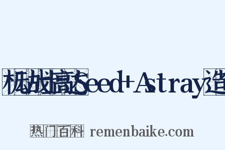 机动战士高达Seed+Astray造句是什么意思的图片